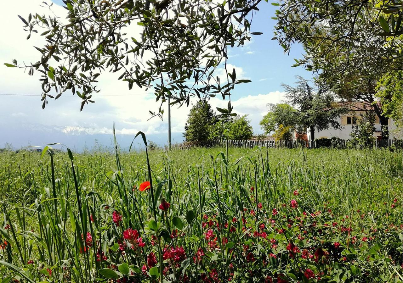 Casa Amrita, Yoga B&B Teramo Exterior photo